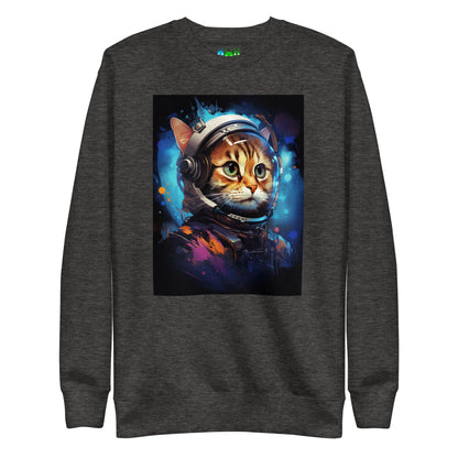 Cat Ten Hero Astronaut Premium Sweatshirt
